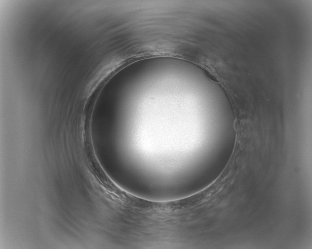 X0000061100194200511181112