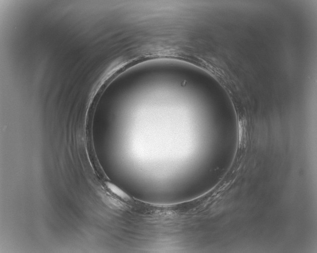 X0000061100195200511181112