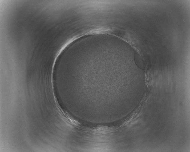 X0000061100196200511181112