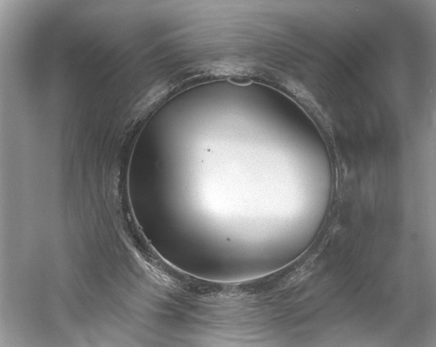 X0000061100201200511181112