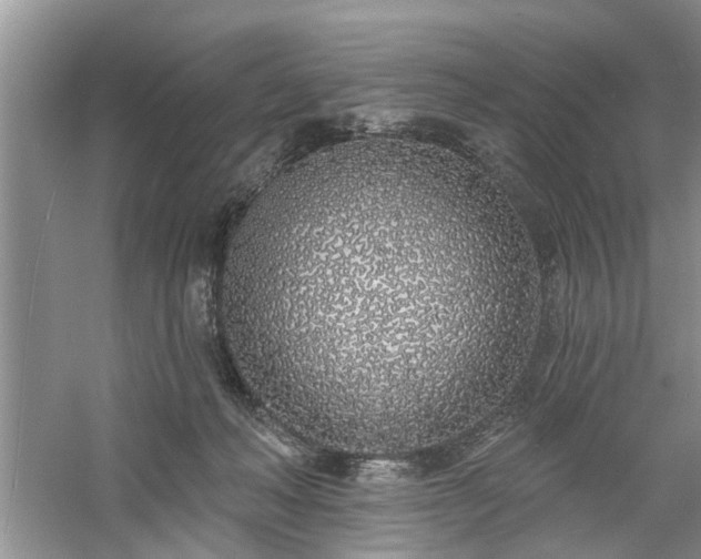 X0000061100222200511181112