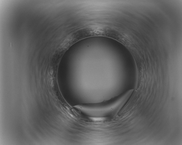 X0000061100223200511181112