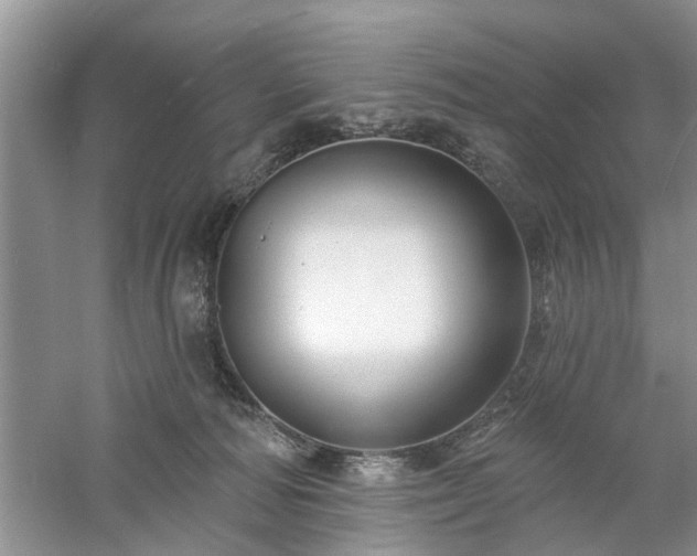 X0000061100226200511181112