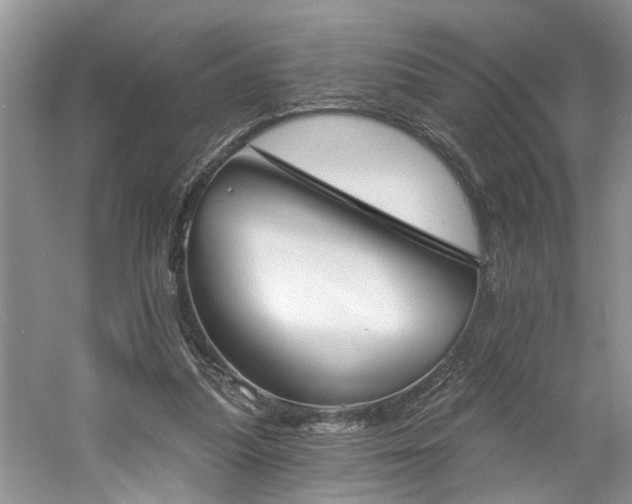 X0000061100251200511181111