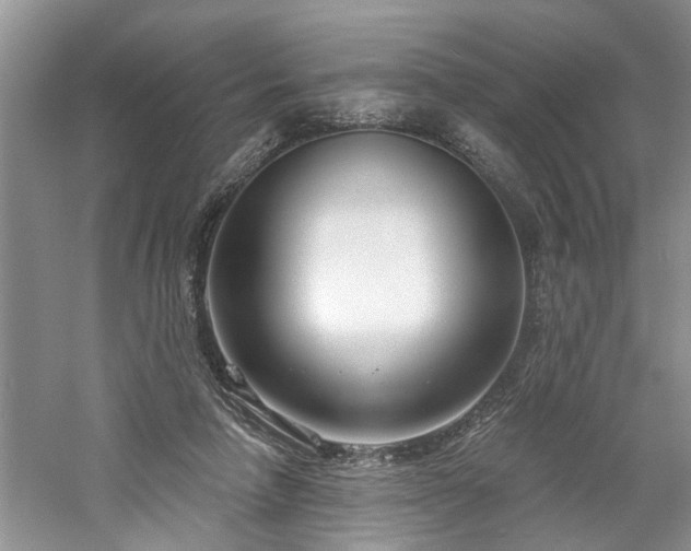 X0000061100258200511181111
