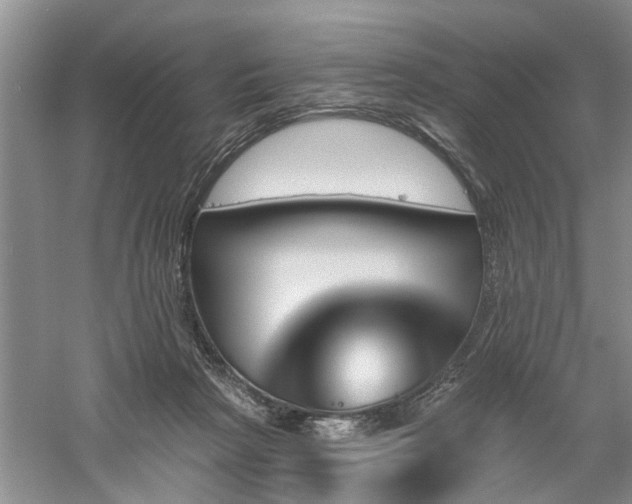 X0000061100265200511181111