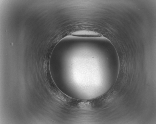 X0000061100271200511181111