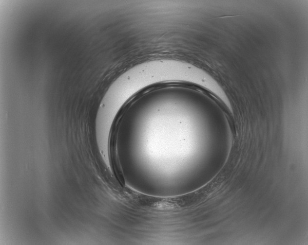 X0000061100272200511181111