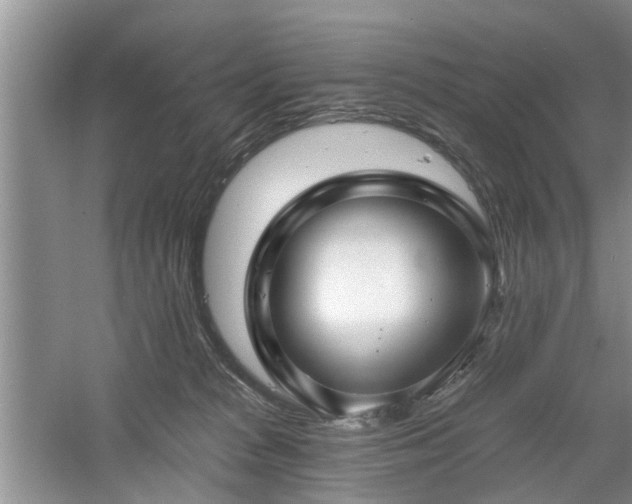 X0000061100277200511181111