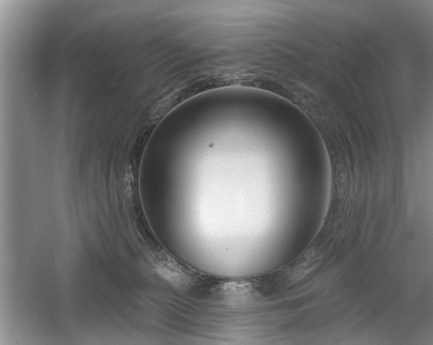 X0000061100279200511181111