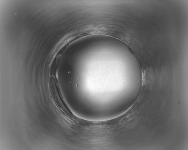 X0000061100291200511181111