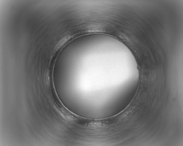 X0000061100298200511181110