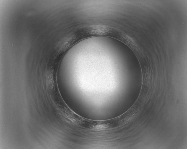 X0000061100312200511181110