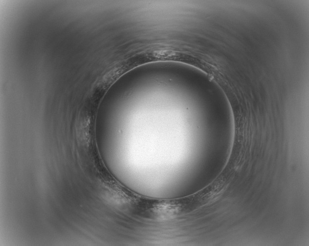 X0000061100319200511181110