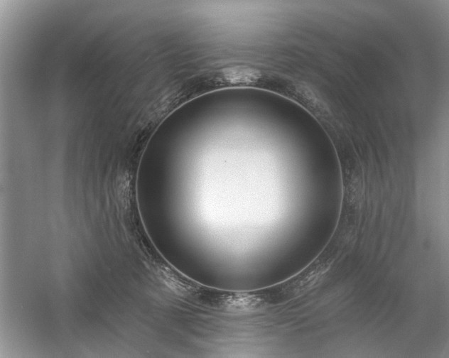X0000061100321200511181110