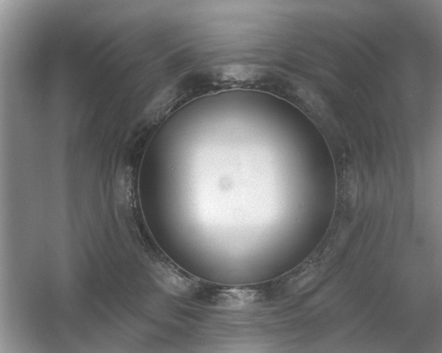 X0000061100328200511181110