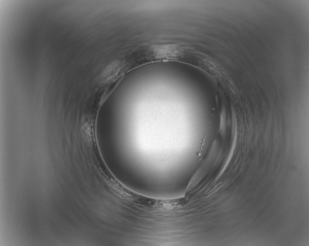 X0000061100329200511181110