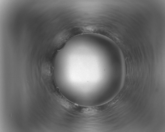 X0000061100331200511181110