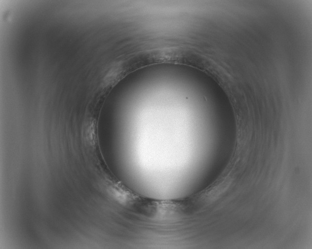 X0000061100336200511181110