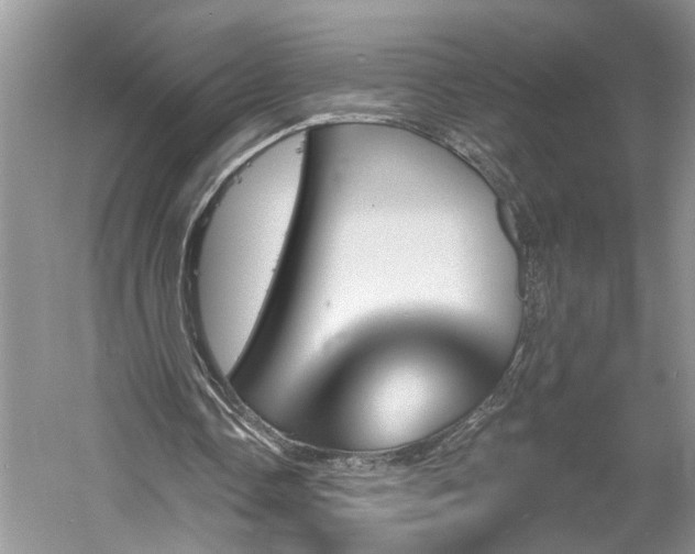 X0000061100338200511181109