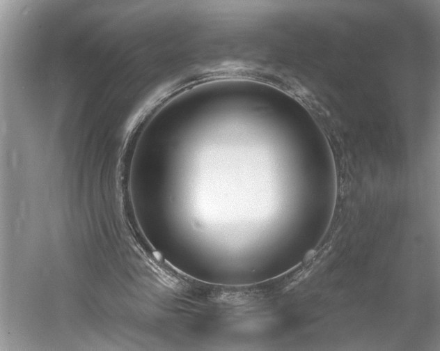 X0000061100341200511181109