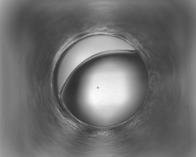 X0000061100344200511181109