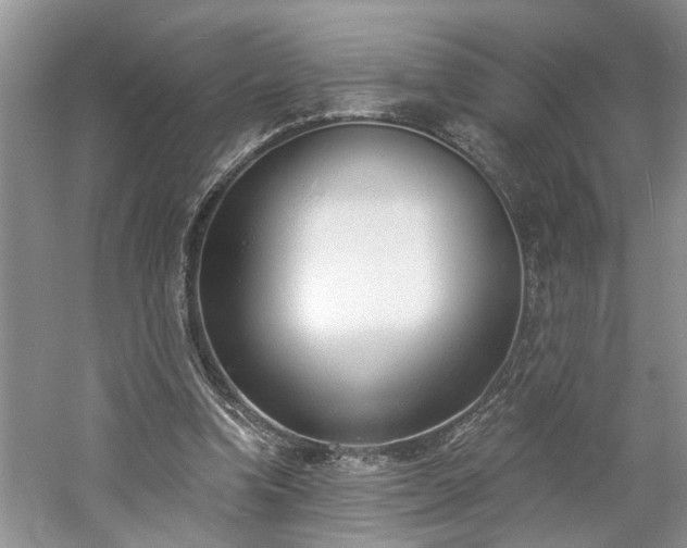 X0000061100346200511181109
