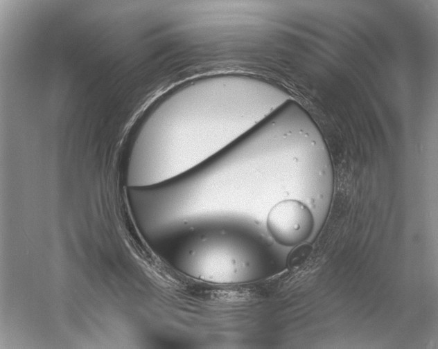 X0000061100347200511181109