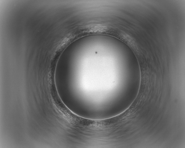 X0000061100354200511181109