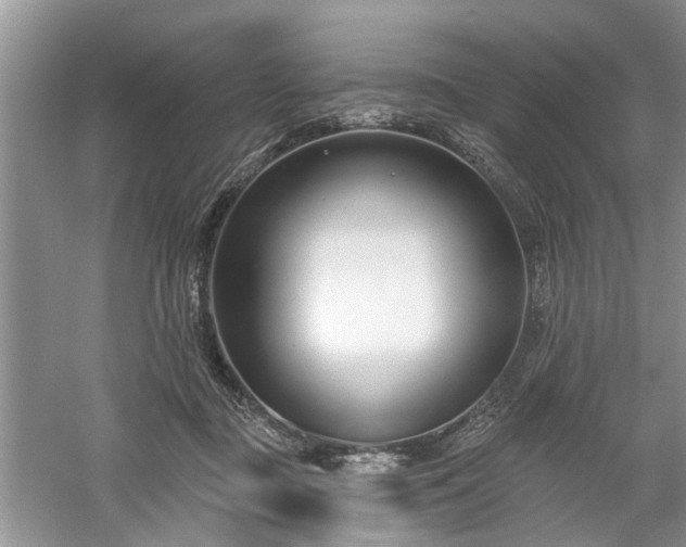 X0000061100363200511181109