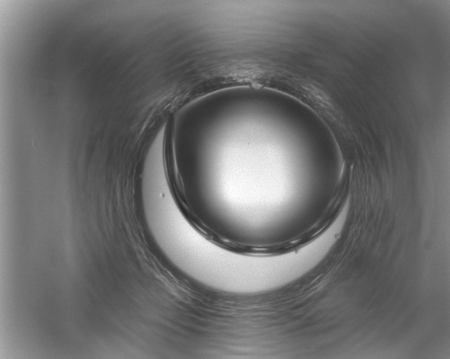 X0000061100365200511181109