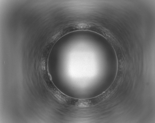 X0000061100368200511181110
