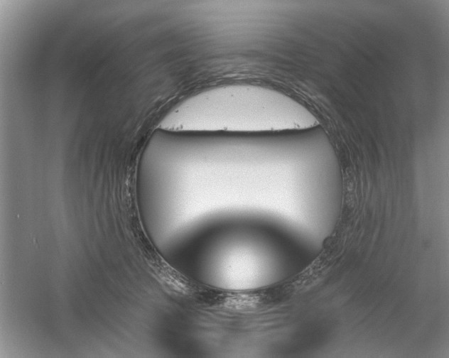 X0000061100369200511181110