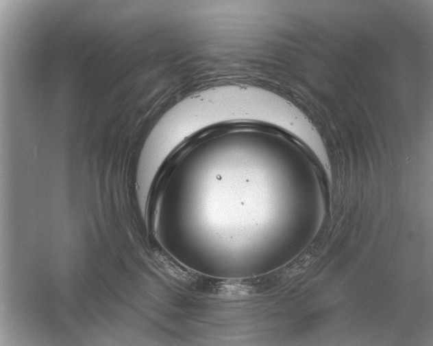 X0000061100376200511181110