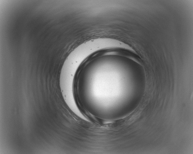 X0000061100384200511181110