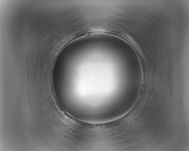 X0000061100385200511181109