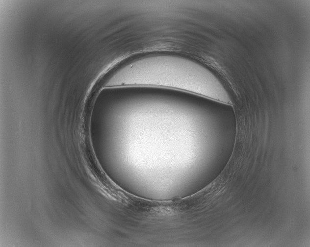 X0000061100392200511181109