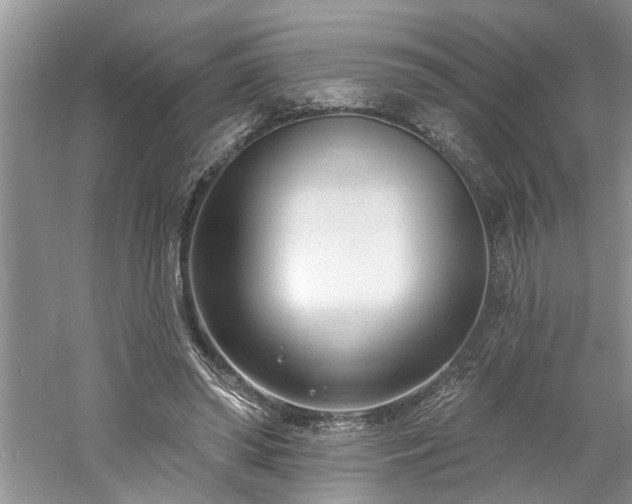 X0000061100398200511181109