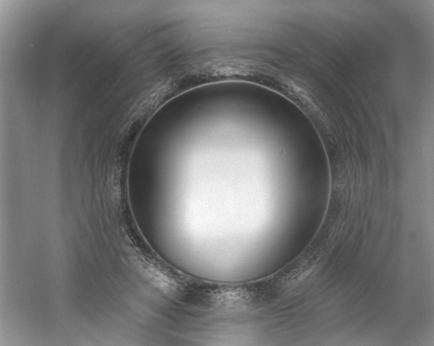 X0000061100402200511181109