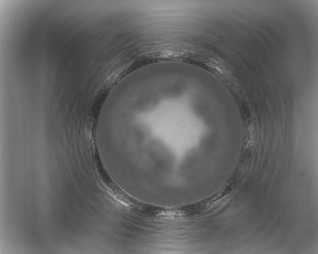 X0000061100415200511181108
