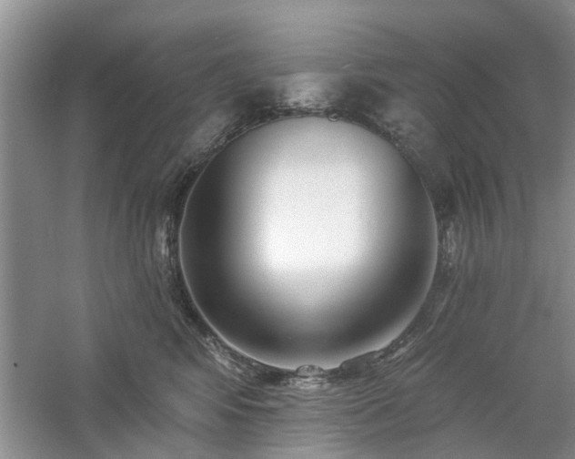 X0000061100424200511181108