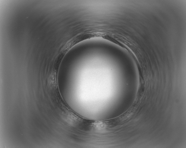 X0000061100425200511181108