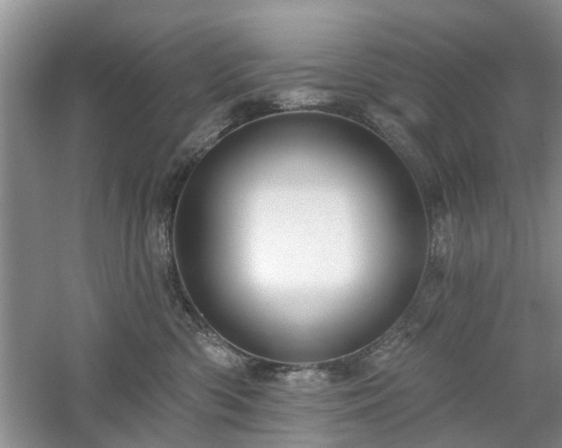 X0000061100426200511181108