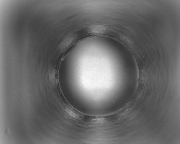 X0000061100428200511181108