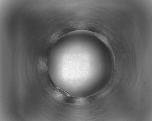 X0000061100432200511181108