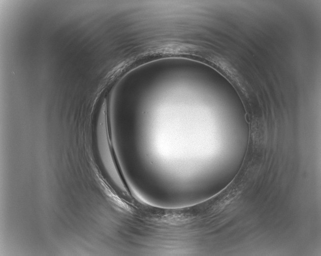 X0000061100445200511181108
