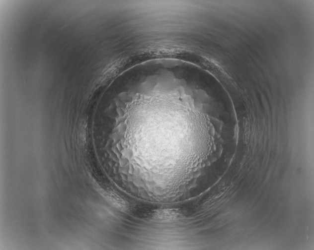 X0000061100451200511181108