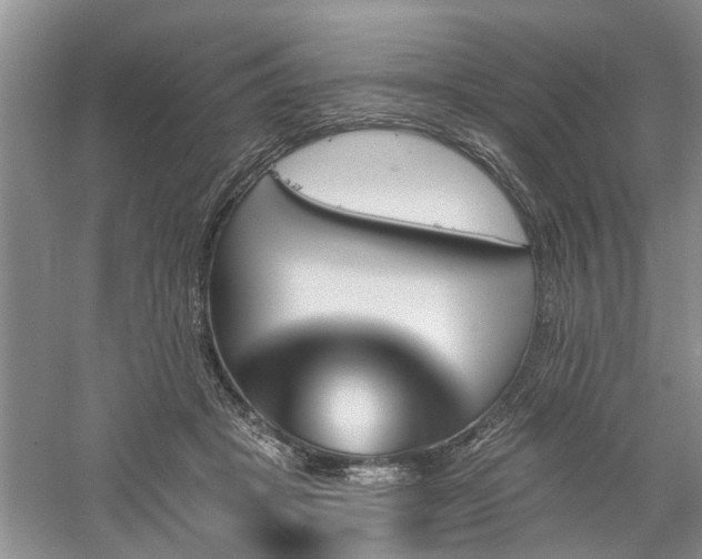 X0000061100457200511181108