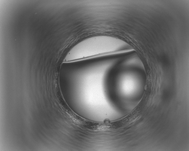 X0000061100462200511181108
