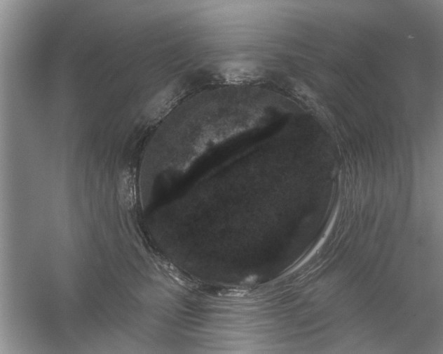 X0000061100471200511181108